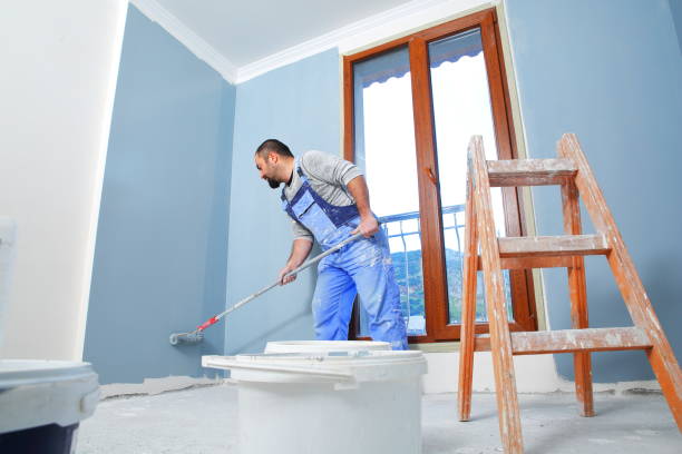 Best Mold Damage Restoration  in Monroe, WI