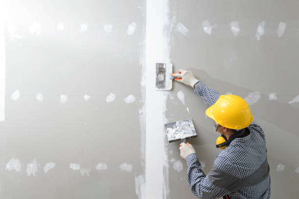 Best Biohazard Mold Removal  in Monroe, WI