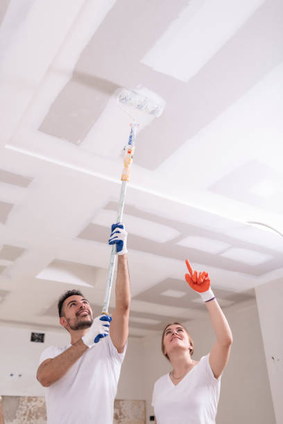 Best Attic Mold Removal  in Monroe, WI