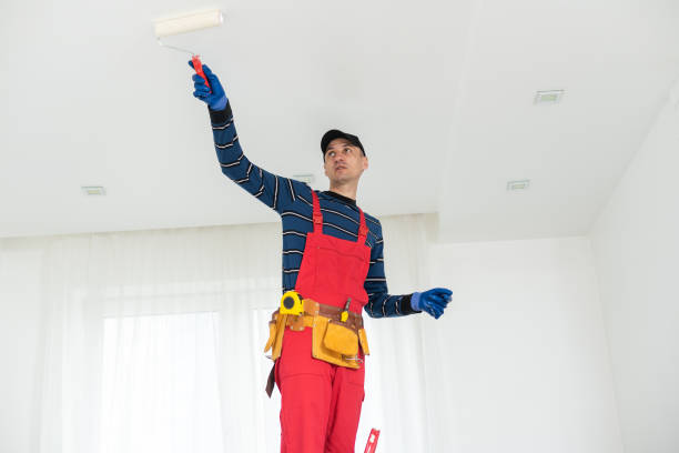 Best Mold Remediation for Healthcare Facilities  in Monroe, WI