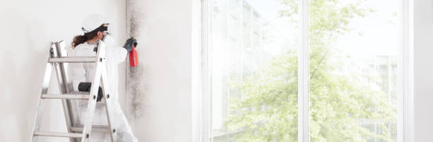Best Air Quality Testing for Mold Spores  in Monroe, WI